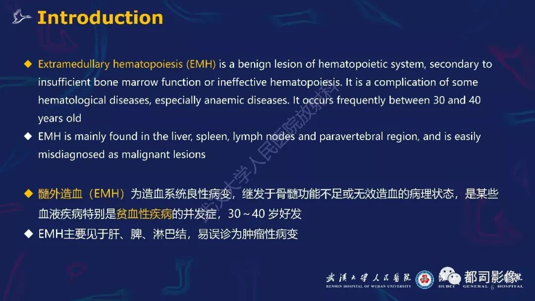 【PPT】肾周髓外造血影像诊断