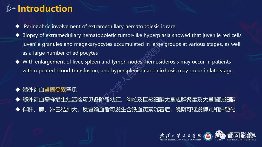 【PPT】肾周髓外造血影像诊断