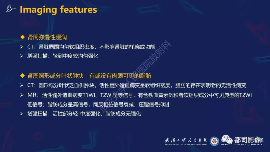 【PPT】肾周髓外造血影像诊断