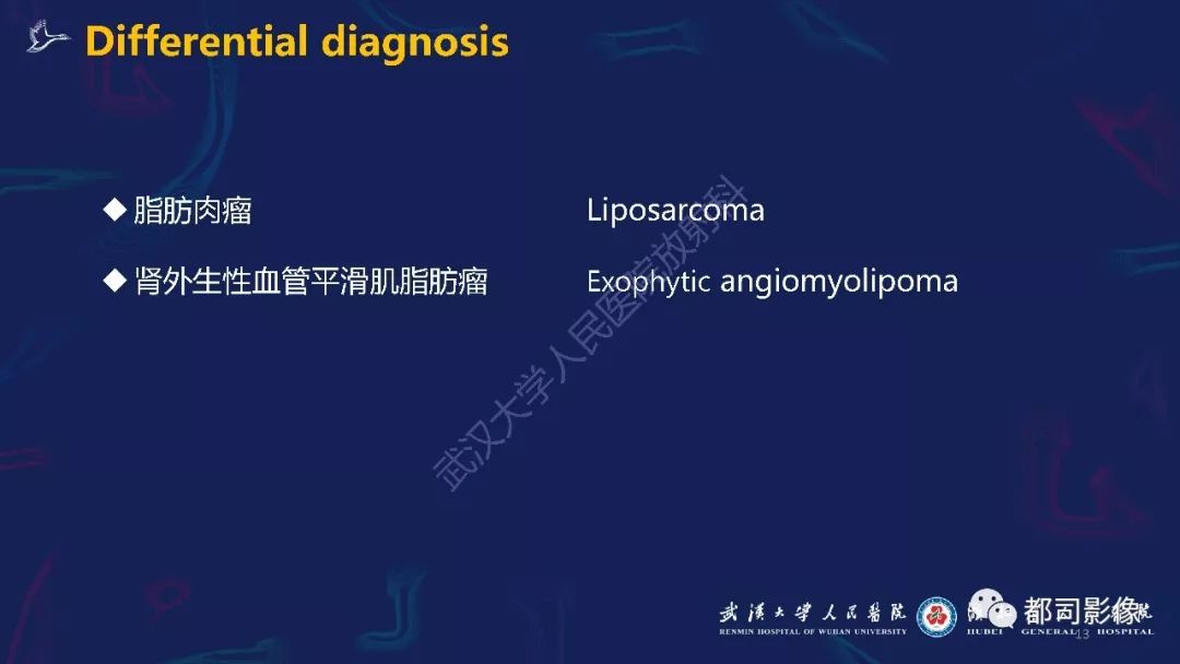 【PPT】肾周髓外造血影像诊断