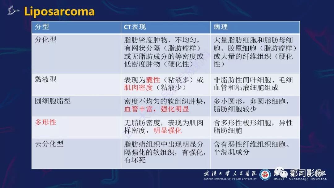 【PPT】肾周髓外造血影像诊断