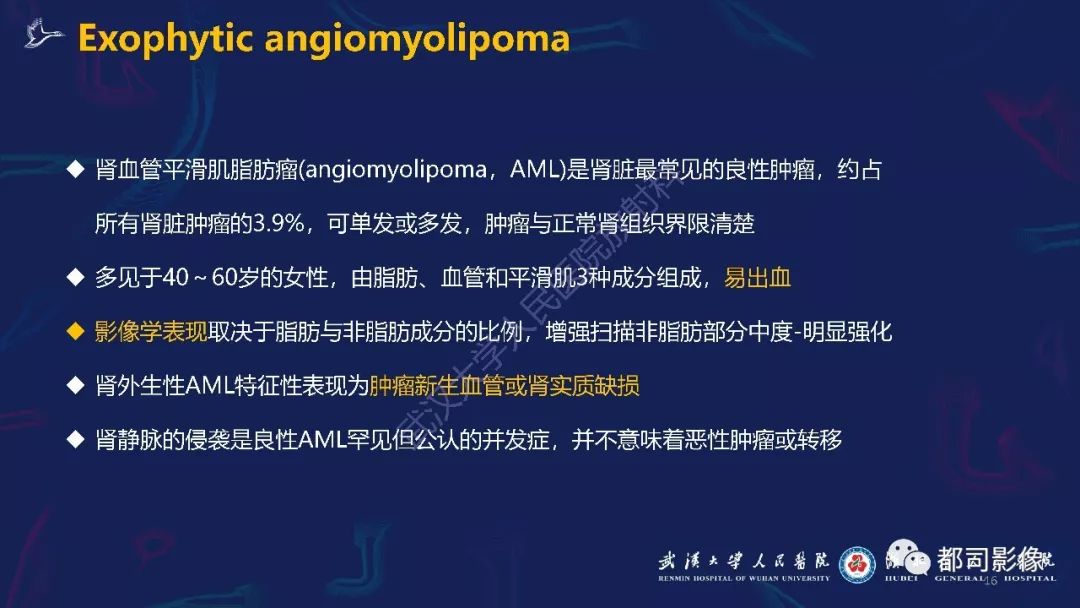 【PPT】肾周髓外造血影像诊断