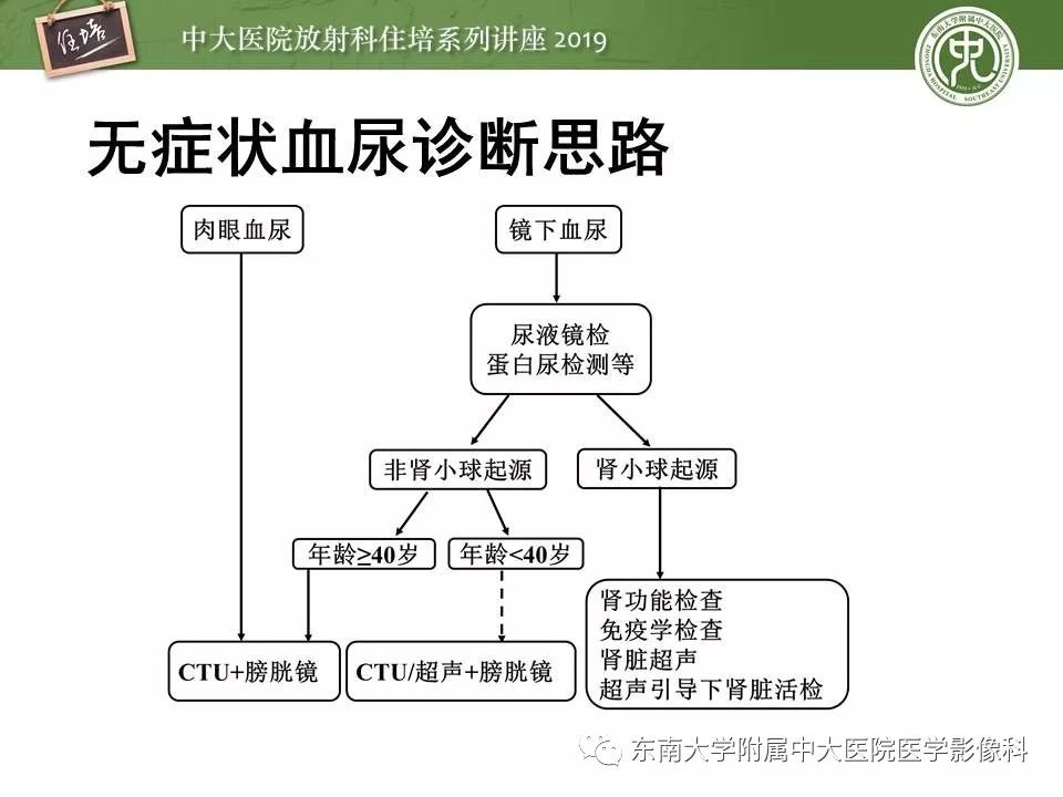 【PPT】血尿的影像分析思路