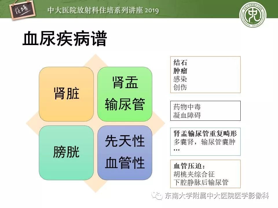 【PPT】血尿的影像分析思路