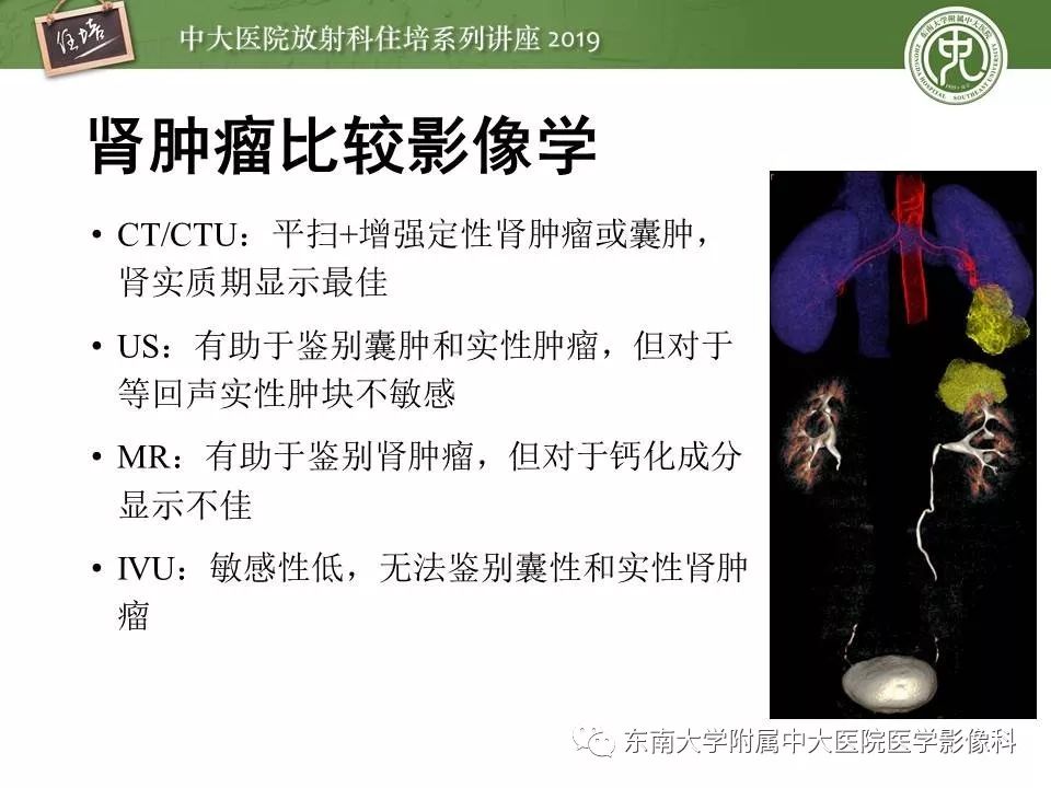 【PPT】血尿的影像分析思路