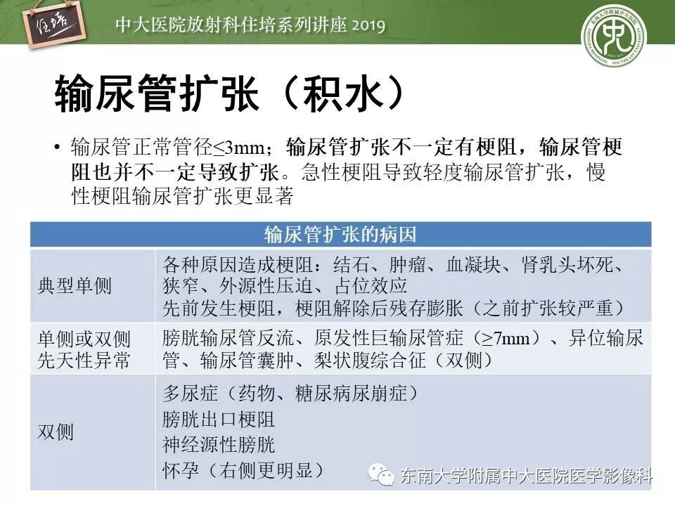【PPT】血尿的影像分析思路