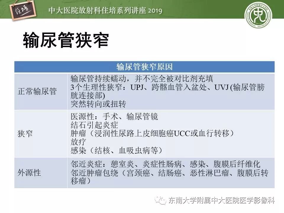【PPT】血尿的影像分析思路