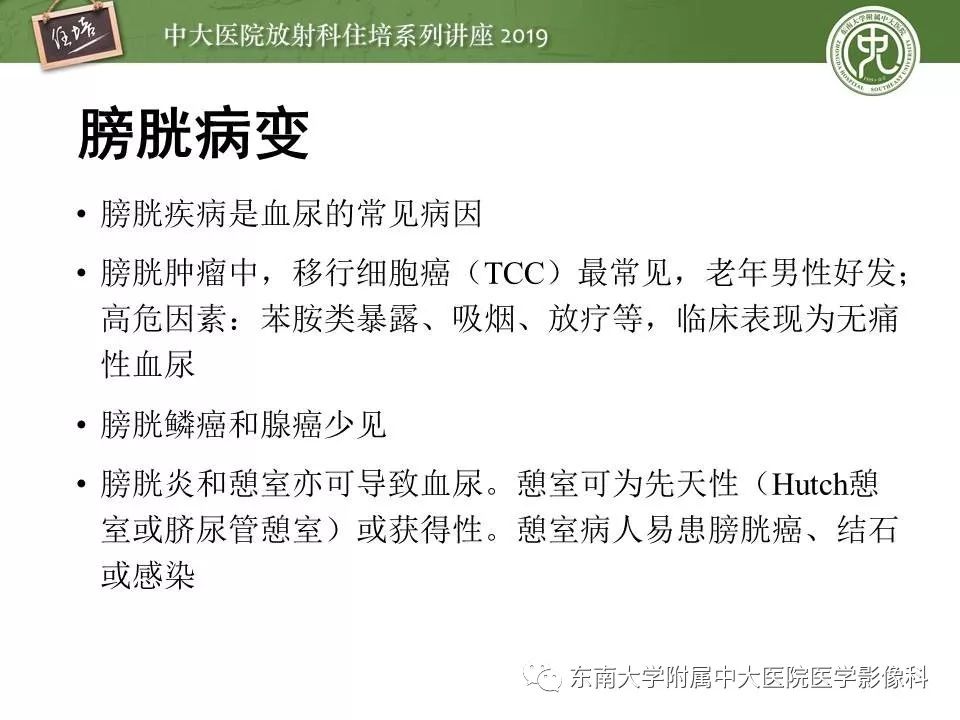 【PPT】血尿的影像分析思路