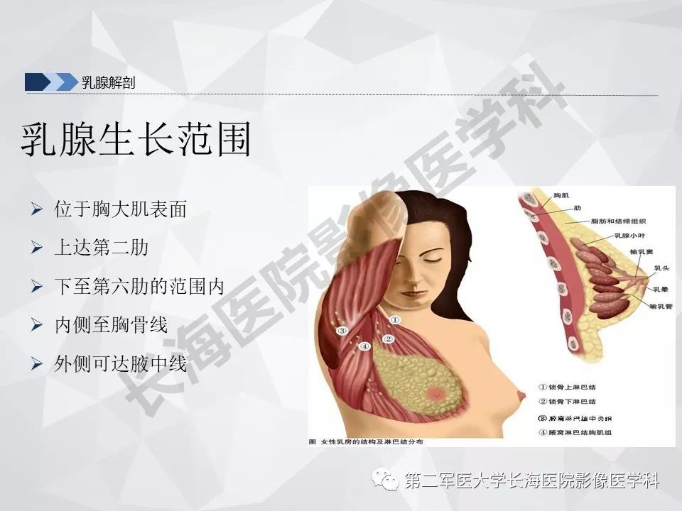 【PPT】乳腺MR规范检查及诊断