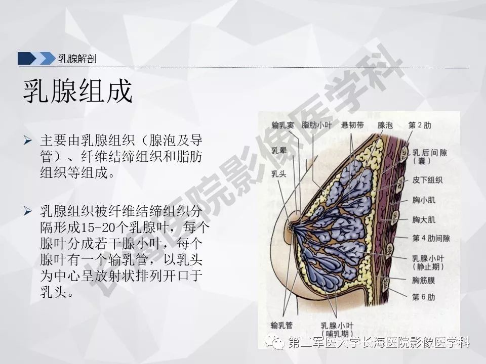 【PPT】乳腺MR规范检查及诊断