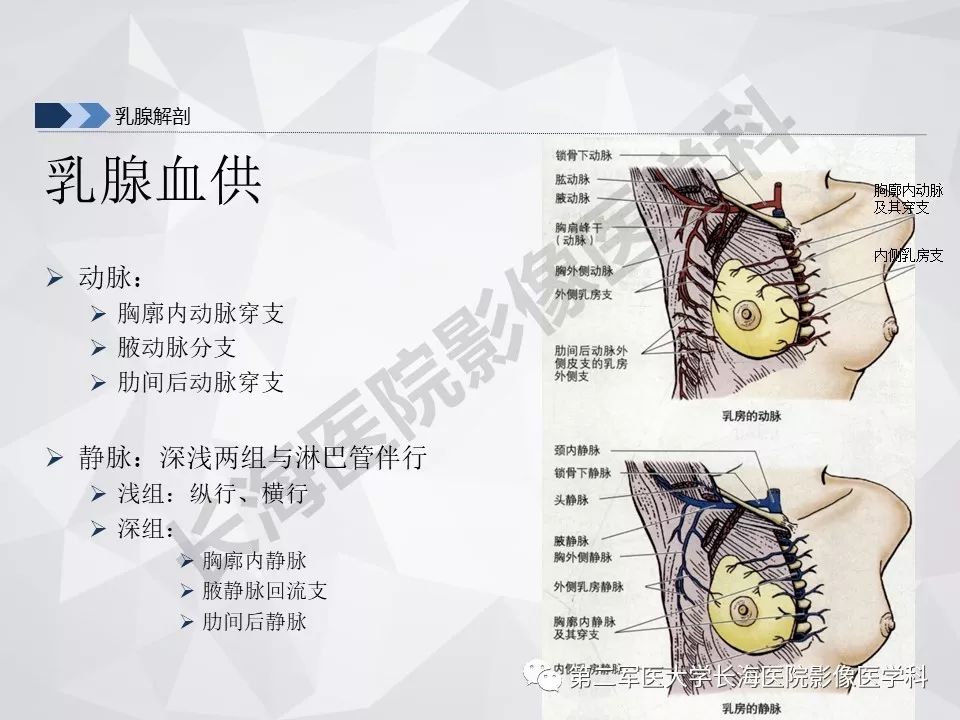 【PPT】乳腺MR规范检查及诊断