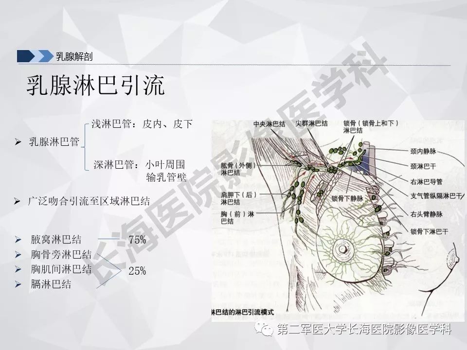 【PPT】乳腺MR规范检查及诊断