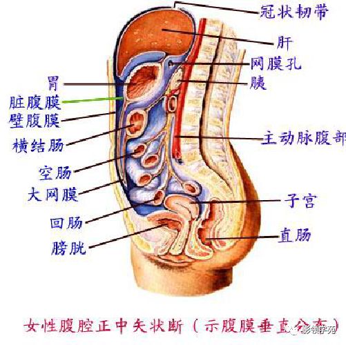 肠系膜脂膜炎的影像表现 肠系膜脂膜炎的影像表现