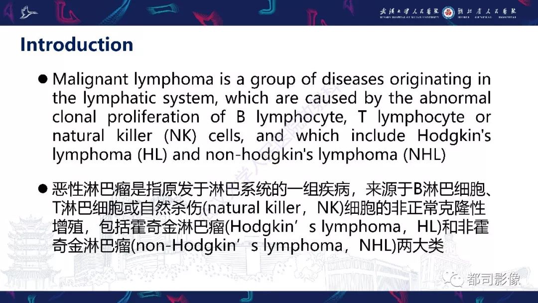 【PPT】上颌窦非霍奇金淋巴瘤影像诊断