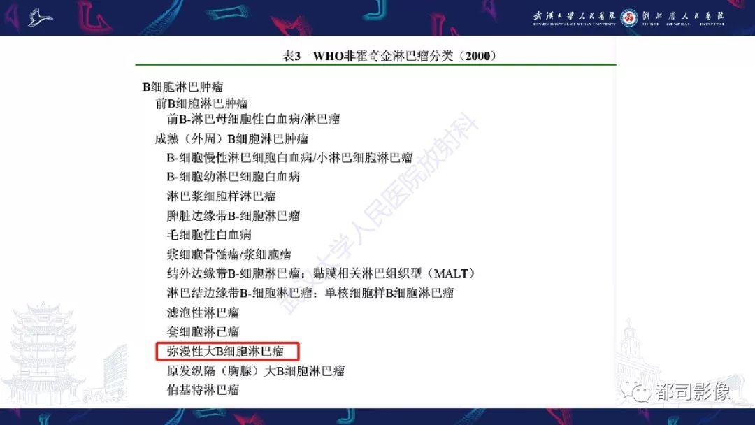 【PPT】上颌窦非霍奇金淋巴瘤影像诊断