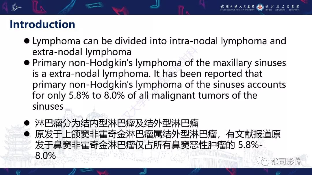【PPT】上颌窦非霍奇金淋巴瘤影像诊断