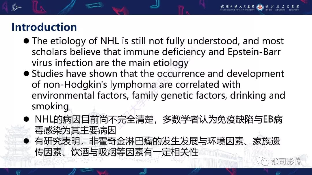 【PPT】上颌窦非霍奇金淋巴瘤影像诊断