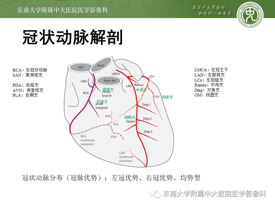 【PPT】冠脉疾病-报告和数据系统易混淆点
