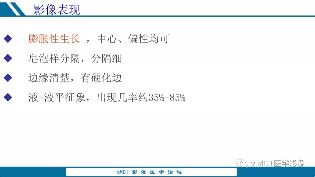 【PPT】未定性骨肿瘤影像学表现