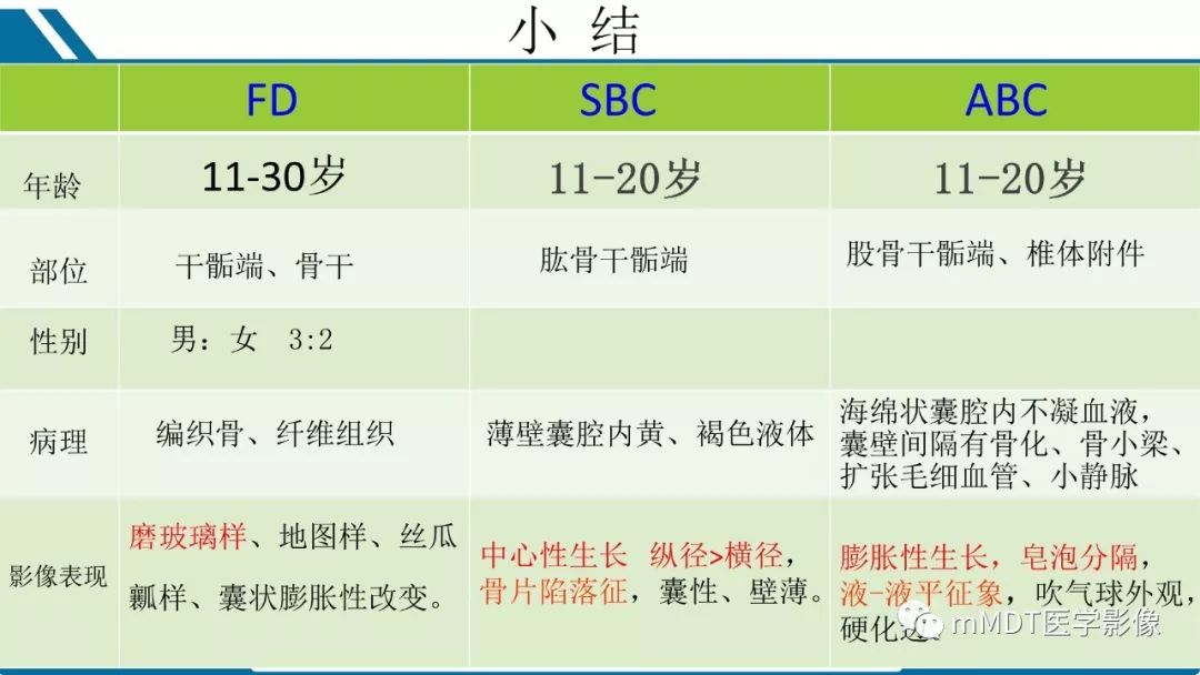 【PPT】未定性骨肿瘤影像学表现