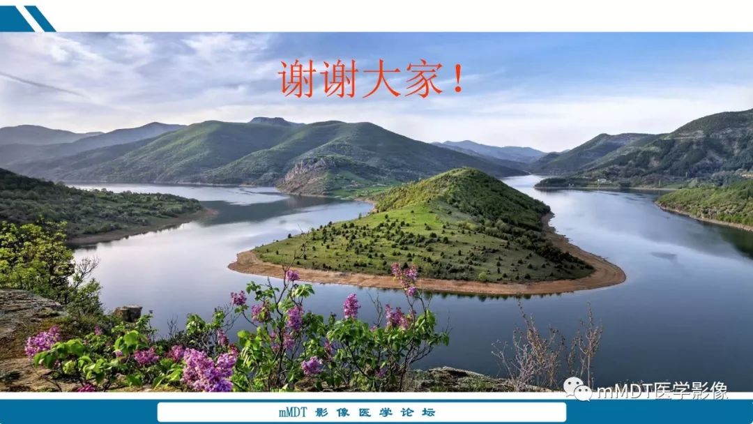 【PPT】未定性骨肿瘤影像学表现