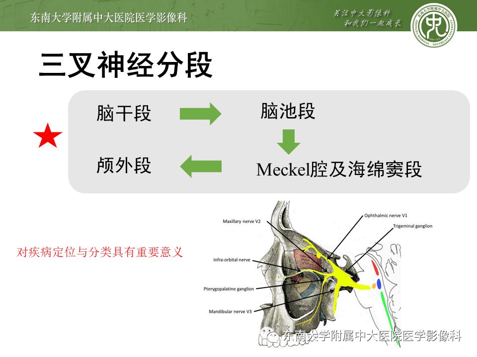 【PPT】三叉神经影像解剖及常见疾病