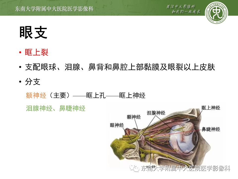 【PPT】三叉神经影像解剖及常见疾病