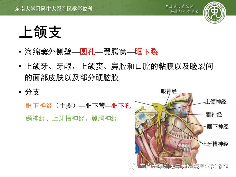 【PPT】三叉神经影像解剖及常见疾病
