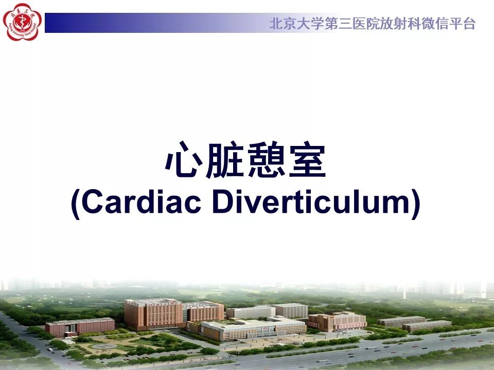 【PPT】心脏憩室