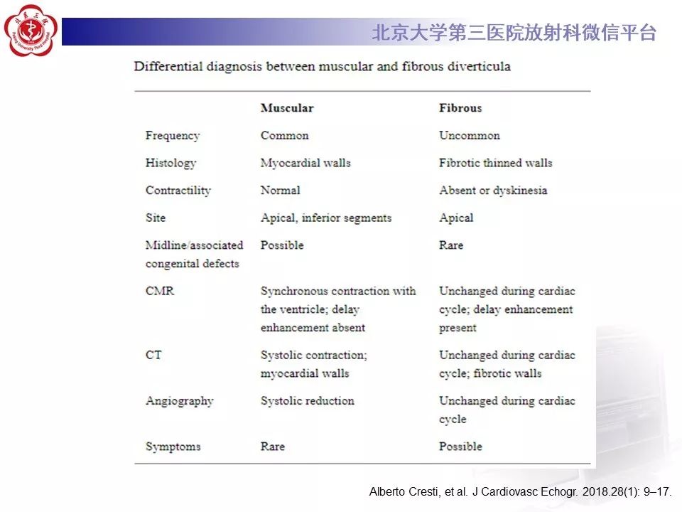 【PPT】心脏憩室