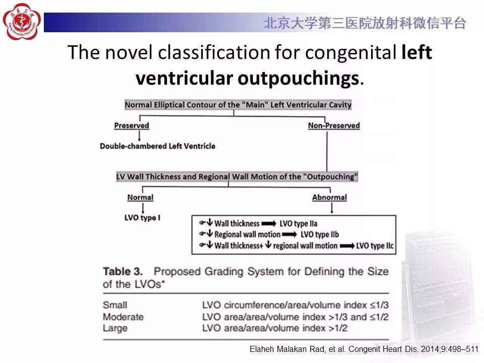 【PPT】心脏憩室