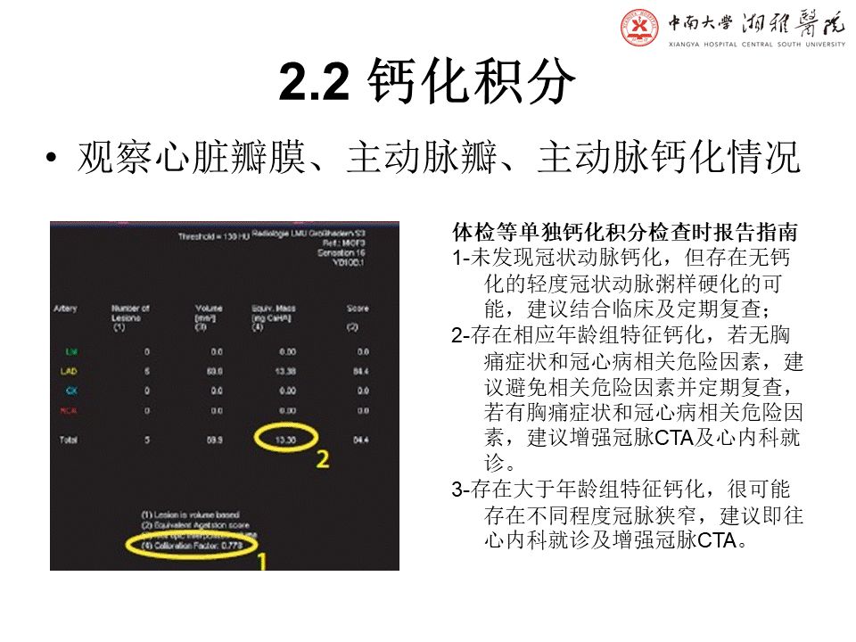 【PPT】湘雅冠脉CTA标准化后处理及规范化报告