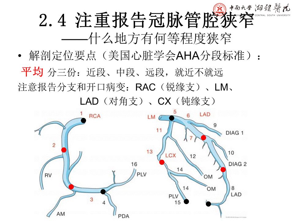 【PPT】湘雅冠脉CTA标准化后处理及规范化报告