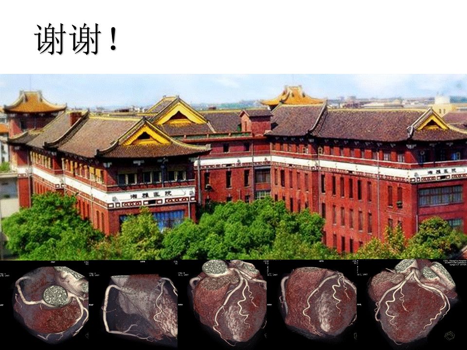 【PPT】湘雅冠脉CTA标准化后处理及规范化报告