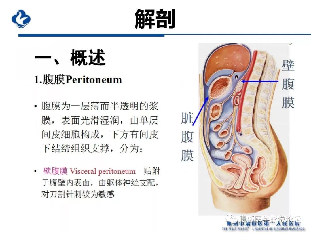 【PPT】胰腺炎病例复习—胰腺炎影像表现及并发症影像评估