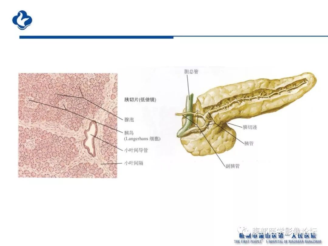 【PPT】胰腺炎病例复习—胰腺炎影像表现及并发症影像评估