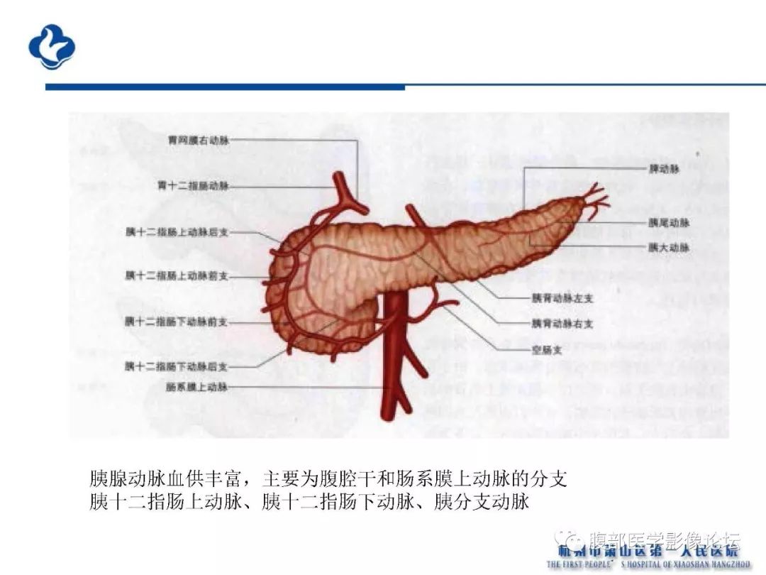 【PPT】胰腺炎病例复习—胰腺炎影像表现及并发症影像评估