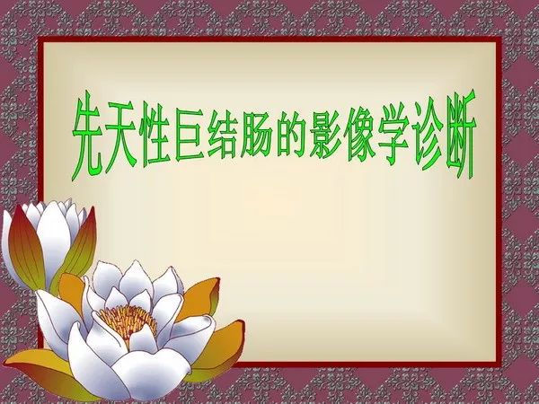 【PPT】先天性巨结肠的影像学诊断