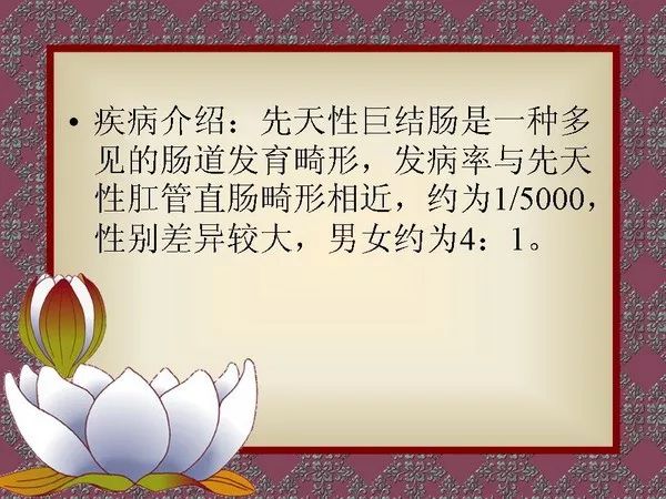 【PPT】先天性巨结肠的影像学诊断