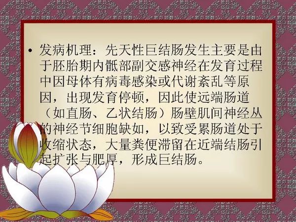 【PPT】先天性巨结肠的影像学诊断