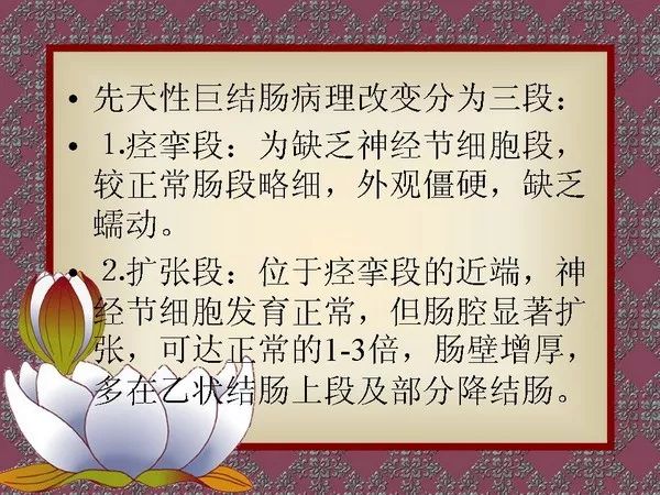 【PPT】先天性巨结肠的影像学诊断