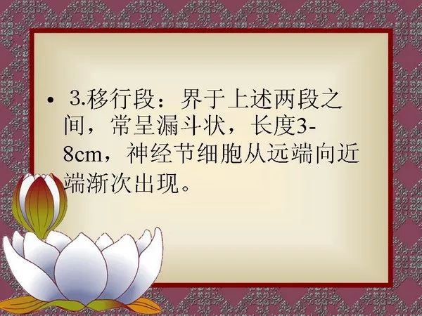 【PPT】先天性巨结肠的影像学诊断