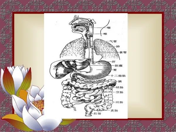 【PPT】先天性巨结肠的影像学诊断