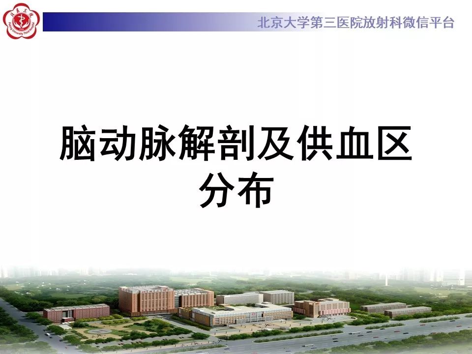 【PPT】脑动脉解剖及供血区分布