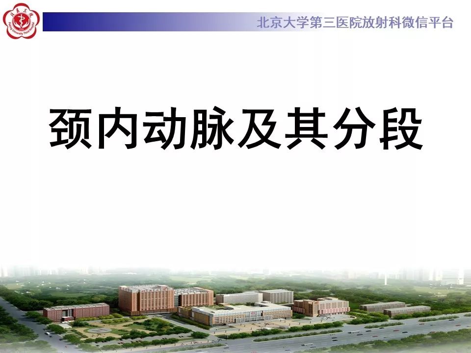 【PPT】脑动脉解剖及供血区分布