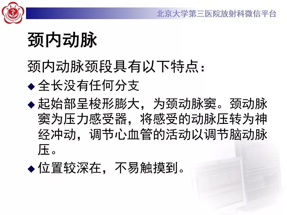 【PPT】脑动脉解剖及供血区分布
