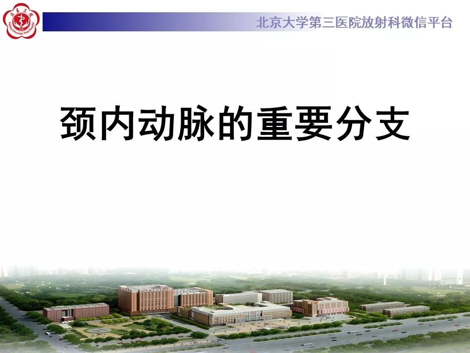 【PPT】脑动脉解剖及供血区分布