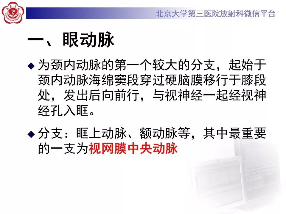 【PPT】脑动脉解剖及供血区分布