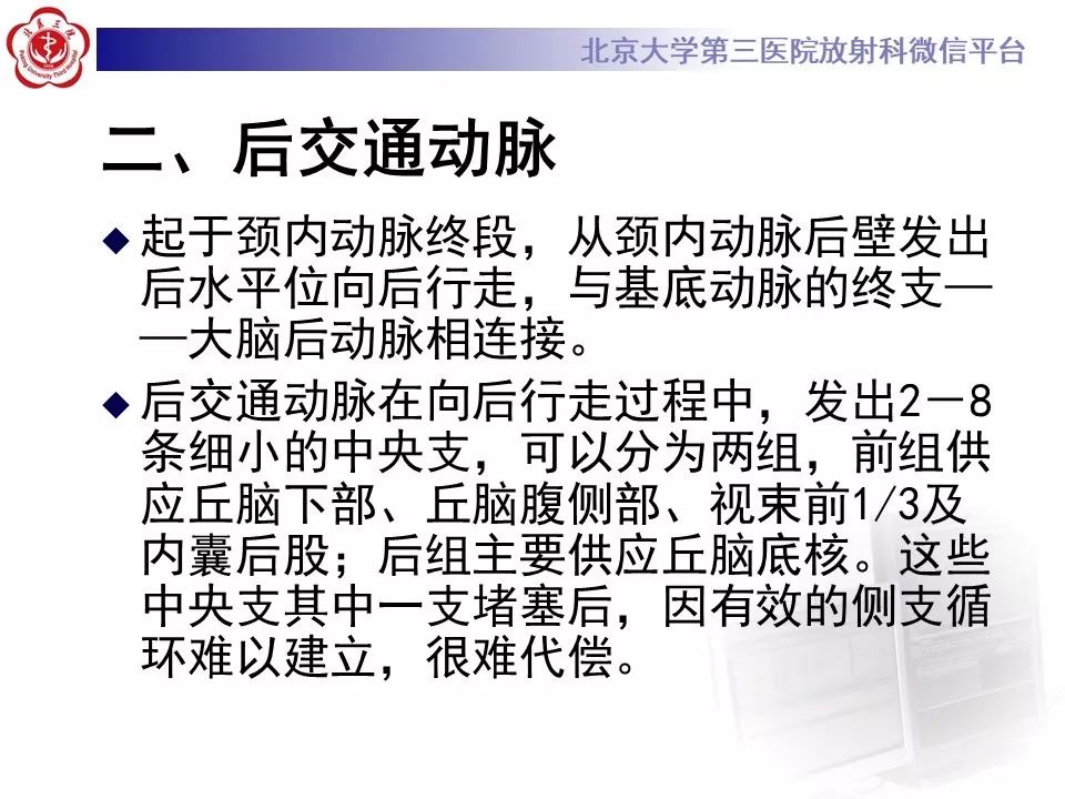 【PPT】脑动脉解剖及供血区分布