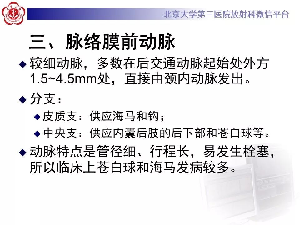【PPT】脑动脉解剖及供血区分布